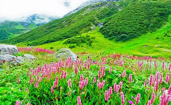 tapovan resorts and motel